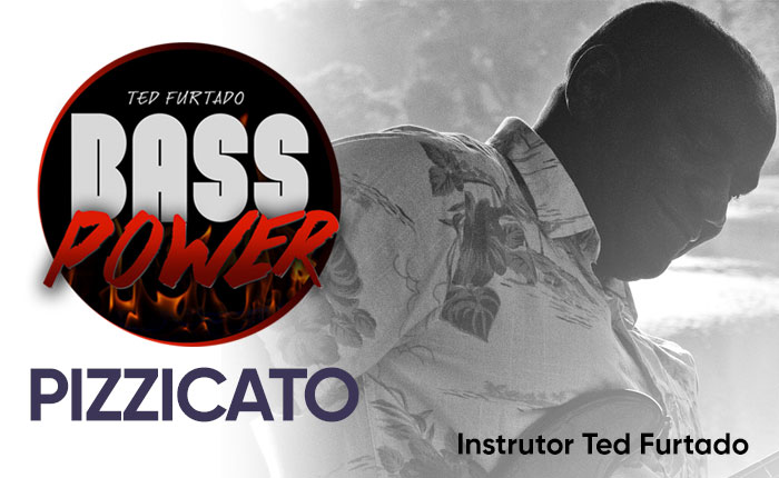 Bass Power | Pizzicato